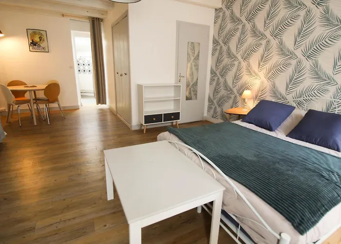 Monlogis 2 Grand Studio Lumineux- Fibre