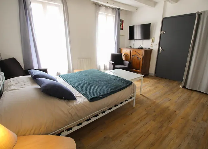 Monlogis 2 Grand Studio Lumineux- Fibre