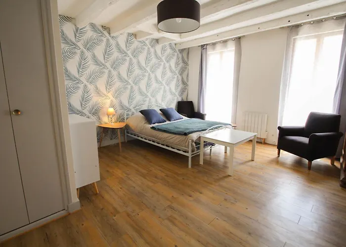 Monlogis 2 Grand Studio Lumineux- Fibre