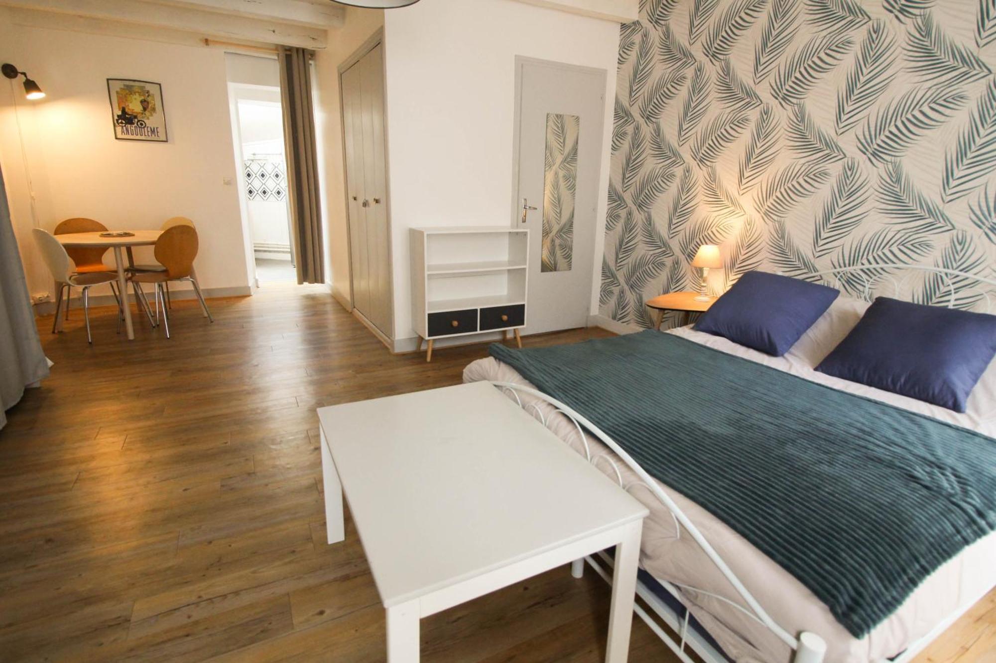 Monlogis 2 Grand Lumineux- Fibre Apartment Angoulême